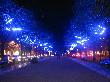 Unter Den Linden 01.jpg